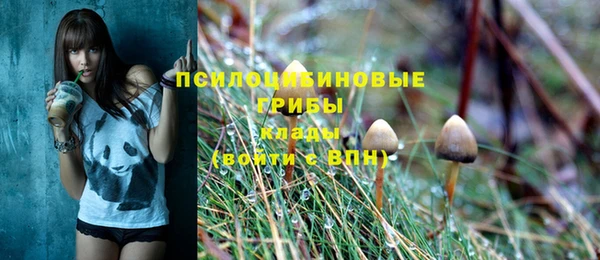 a pvp Красноперекопск