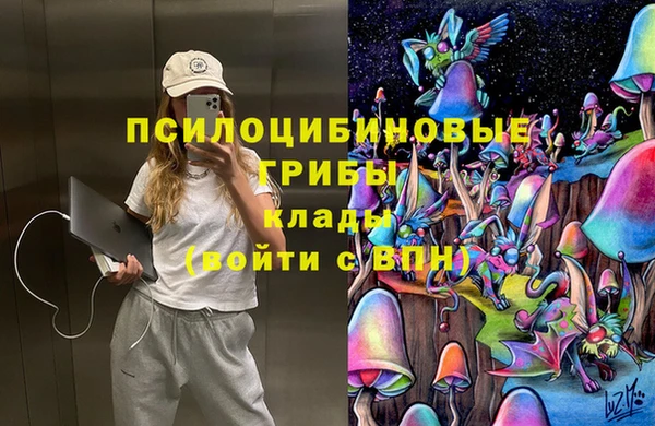 гидра Краснослободск