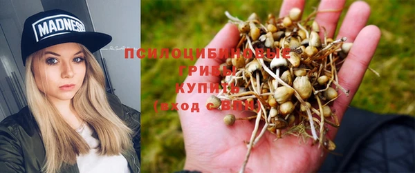 a pvp Красноперекопск
