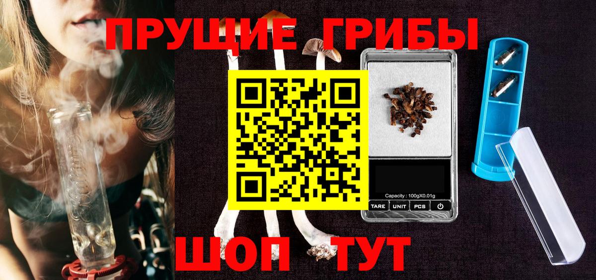 Галлюциногенные грибы Psilocybe Касимов