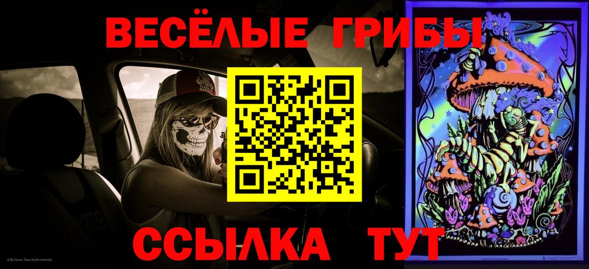 Галлюциногенные грибы Cubensis  Вход с VPN  Касимов 